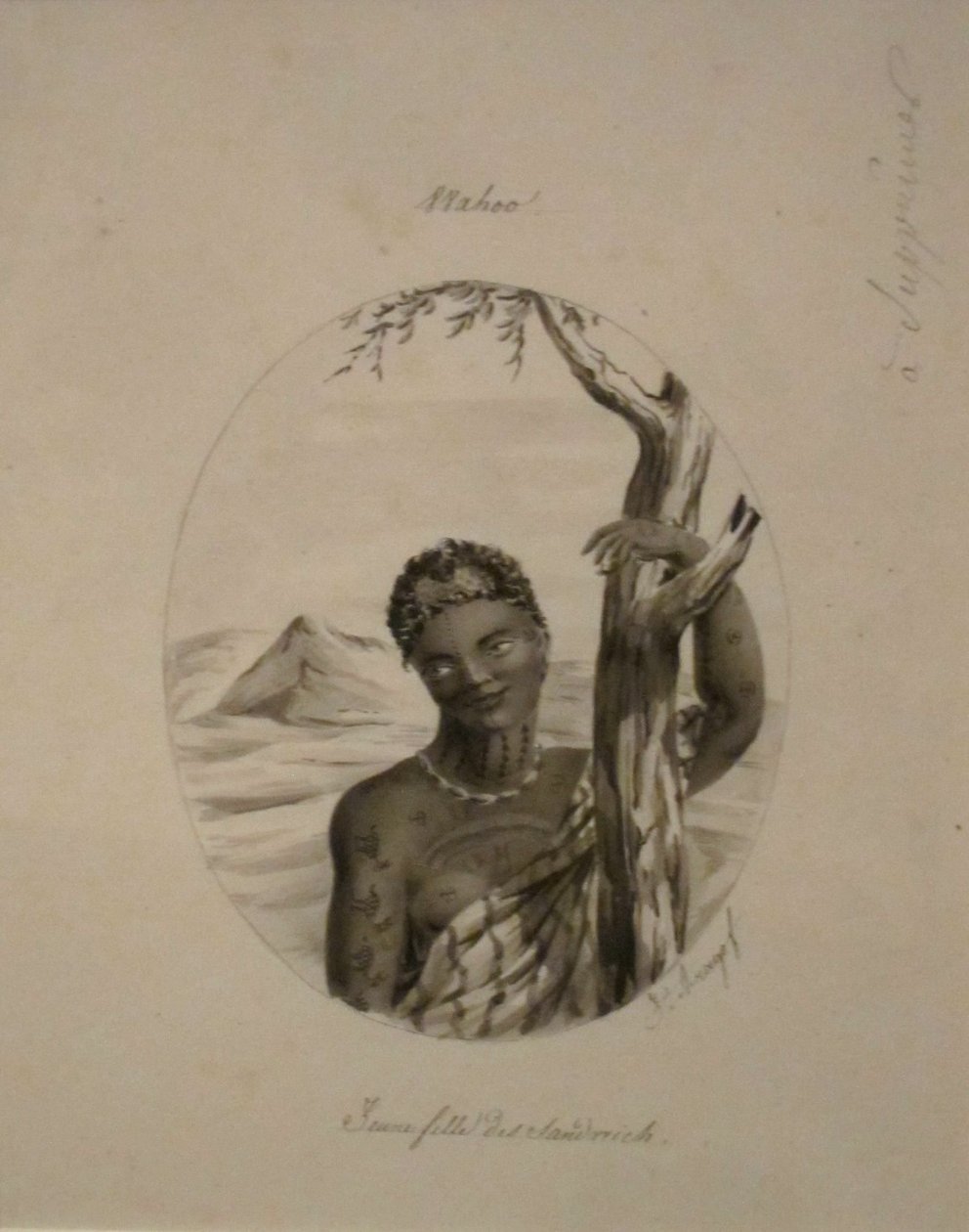  द्वारा जाक अरगो