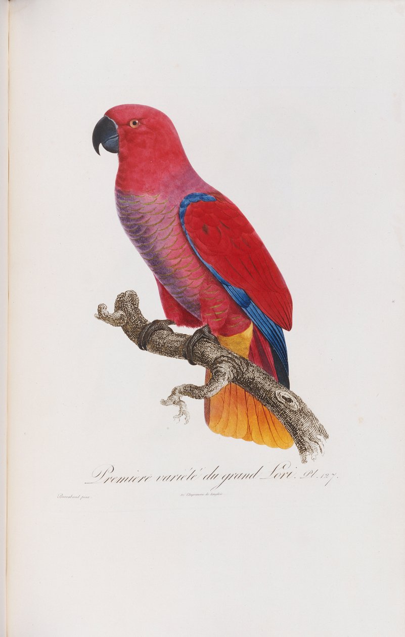 प्रीमियर वेरियेट डु ग्रैंड लोरी, लैंग्लिस द्वारा उत्कीर्ण, सी .1801-05 द्वारा जाक बरबंड