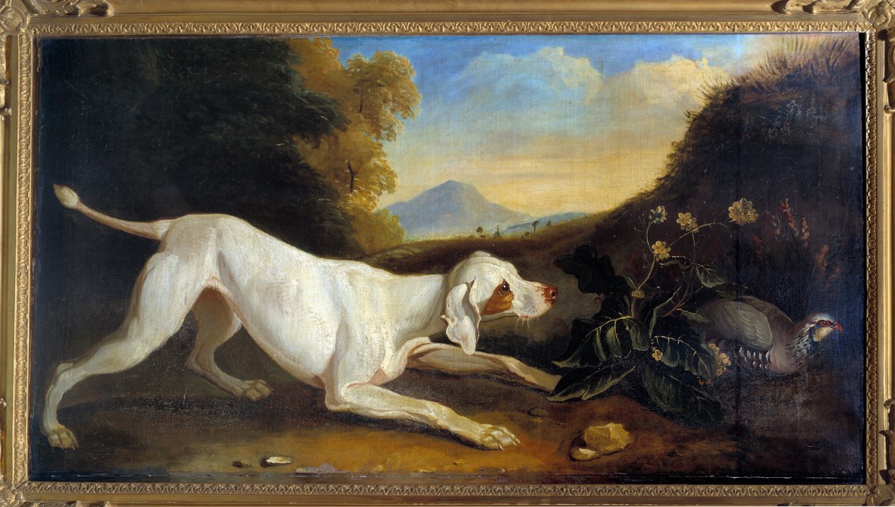 जैक्स चार्ल्स ओड्री (1720-1778) द्वारा 18 वीं शताब्दी पेरिस, सजावटी कला द्वारा एक तीतर पेंटिंग के सामने डॉग ब्रेक द्वारा जैक्स चार्ल्स ओड्री