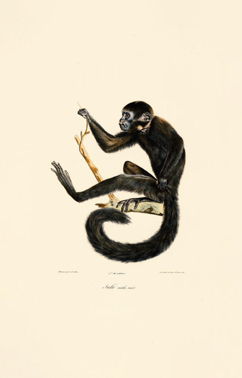  द्वारा 