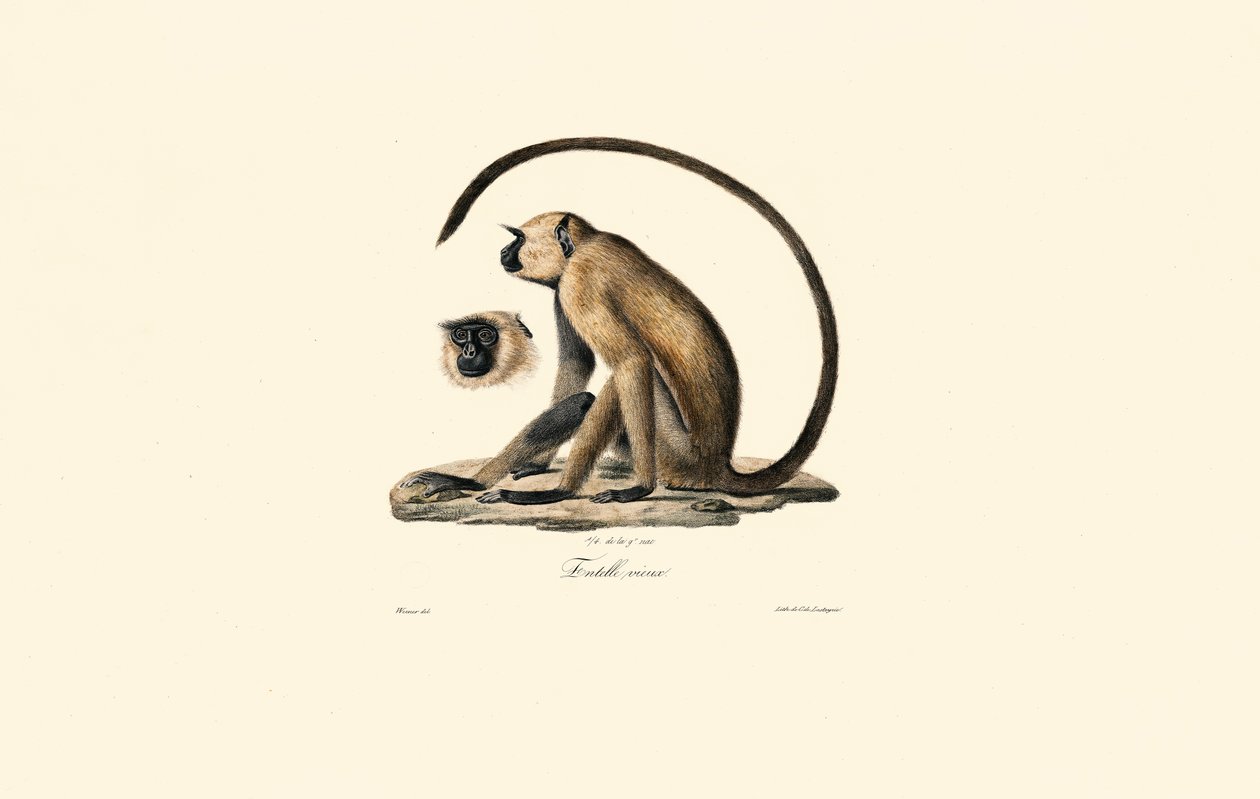  द्वारा 