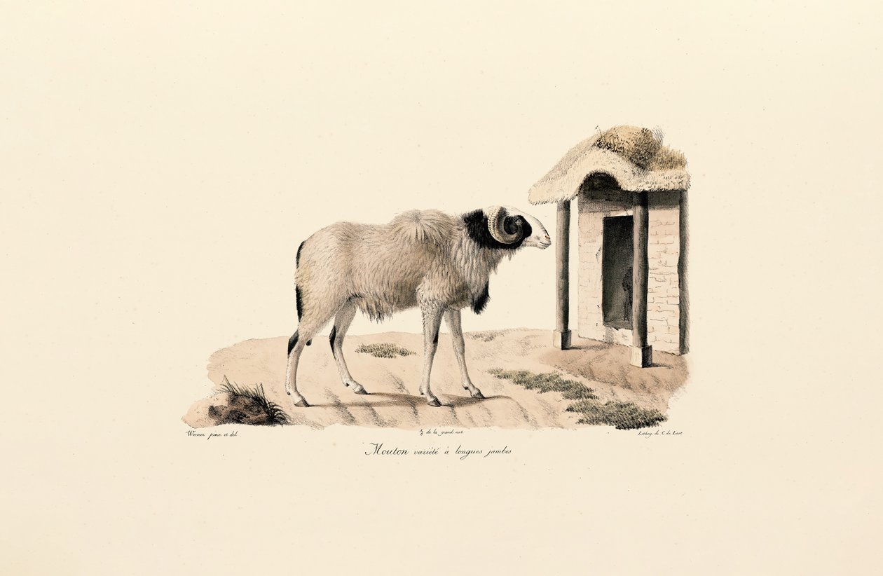  द्वारा 