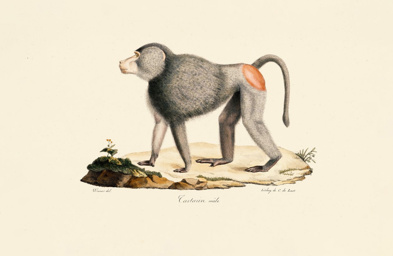  द्वारा 