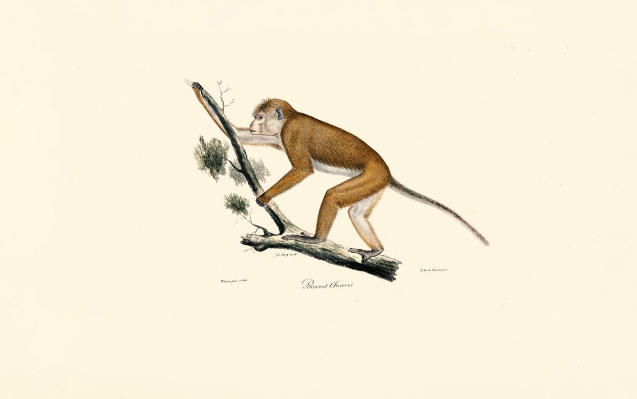  द्वारा 