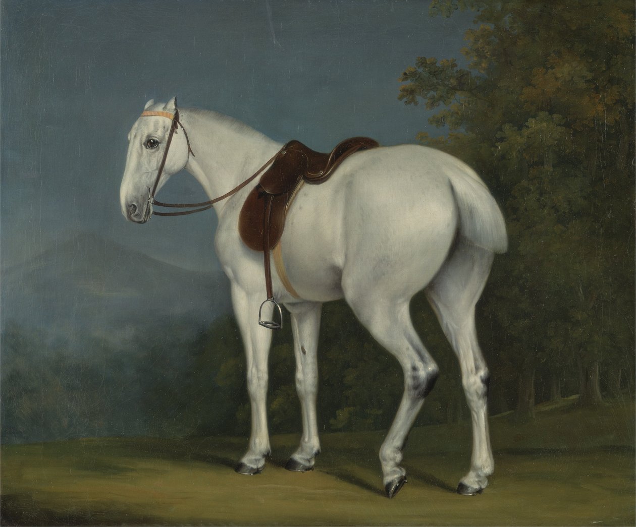 एक लेडीस ग्रे हंटर, c.1806 (कैनवास पर तेल) द्वारा जैक्स लॉरेंट अगासे