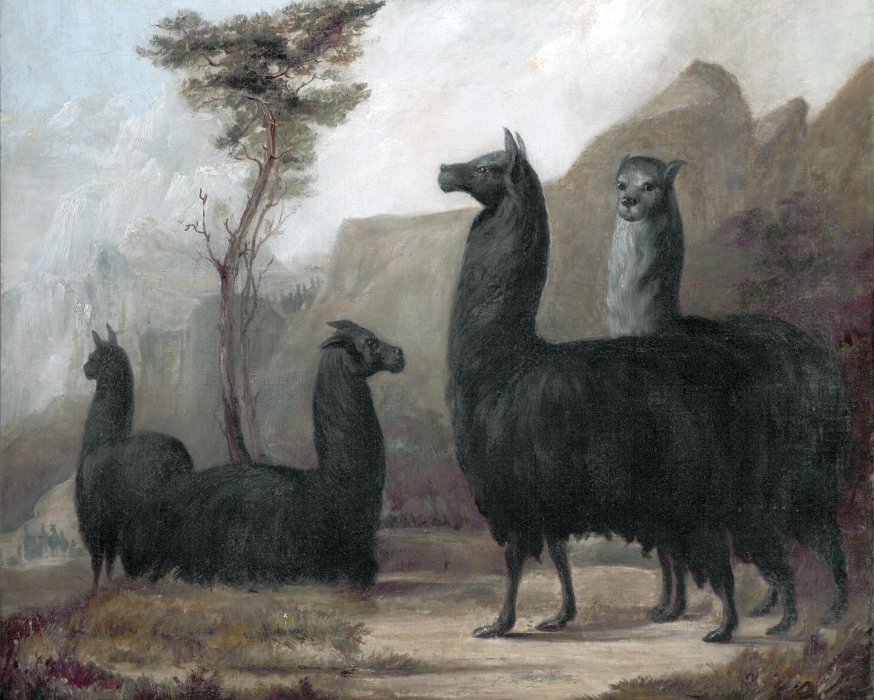 alpacas द्वारा जैक्स लॉरेंट अगासे