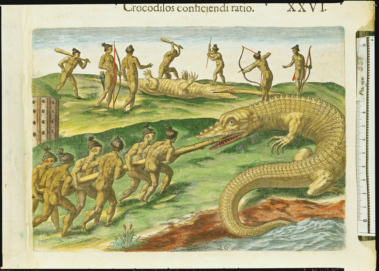 थ्रोडोर डी ब्राय (1528-98) 1563 (180138 का विस्तार) द्वारा उत्कीर्ण &39;ब्रेविस नराटियो&39; से शिकार मगरमच्छ द्वारा जैक्स ले मोयने