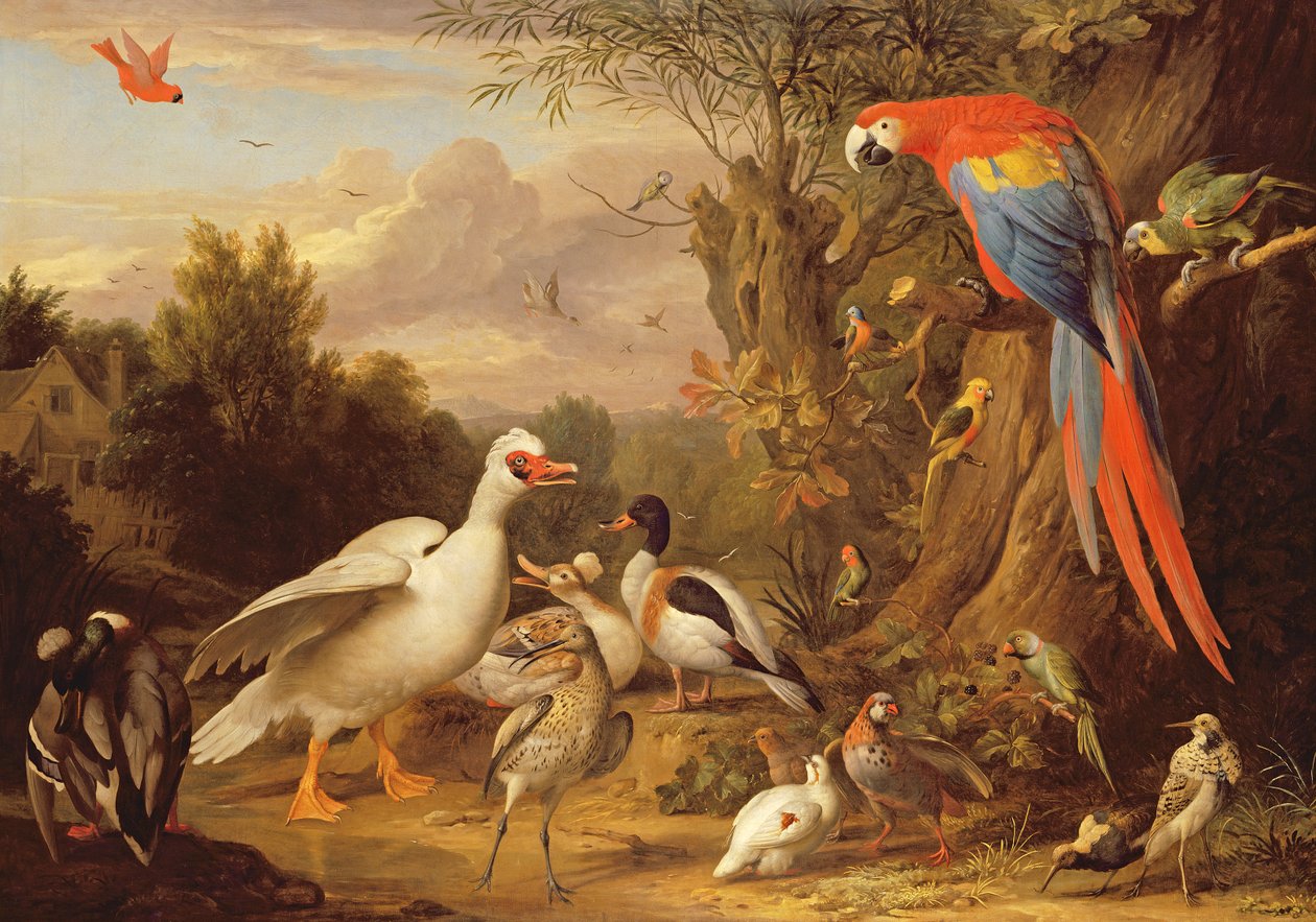 एक मैकॉ, बतख, तोते और अन्य पक्षी एक लैंडस्केप में, c.1708-10 द्वारा जैकब बोगदानी या बोगदानी