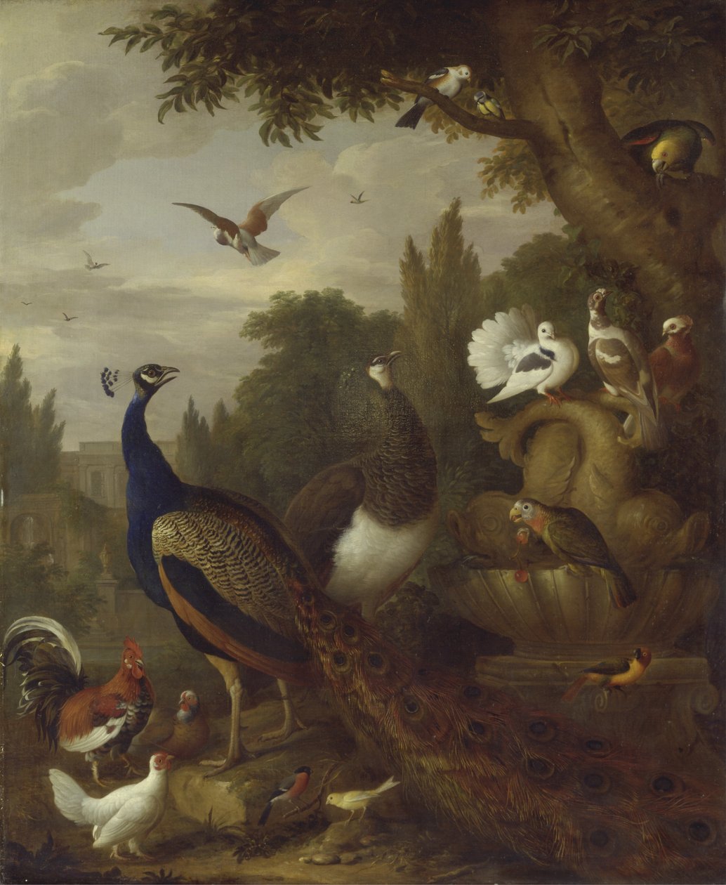 मोर, मोरनी, तोते, कनारी, और एक पार्क में अन्य पक्षी, c.1708-10 द्वारा जैकब बोगदानी या बोगदानी