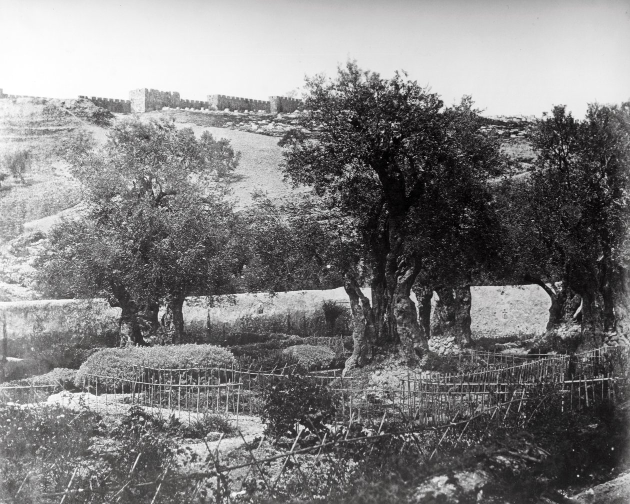 गेथसेमेन, 1857 द्वारा फेलिस बीटो