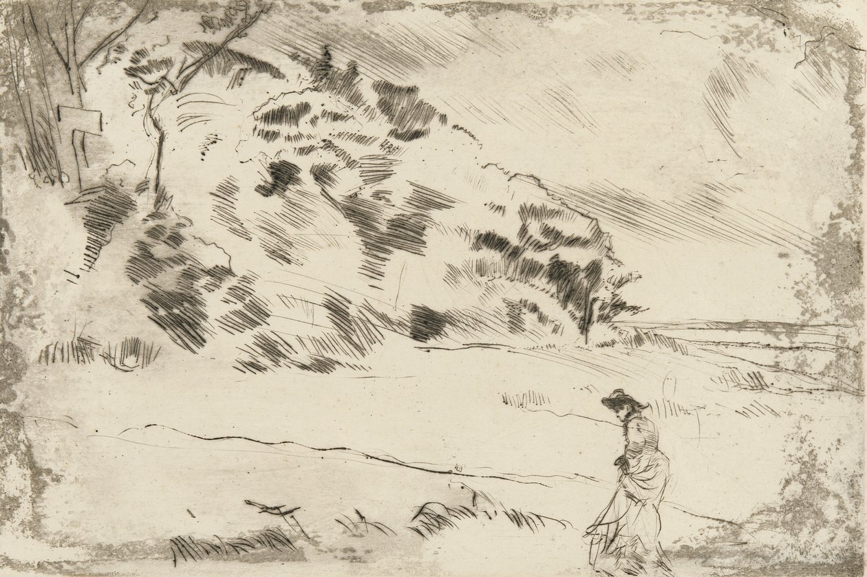 Speke Shore, c.1875 (कागज पर ड्राईपॉइंट) द्वारा जेम्स एबॉट मैकनील व्हिस्लर