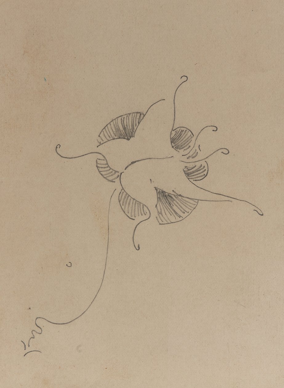व्हिसलर बटरफ्लाई, c.1890 (कार्डबोर्ड पर पेंसिल) द्वारा जेम्स एबॉट मैकनील व्हिस्लर