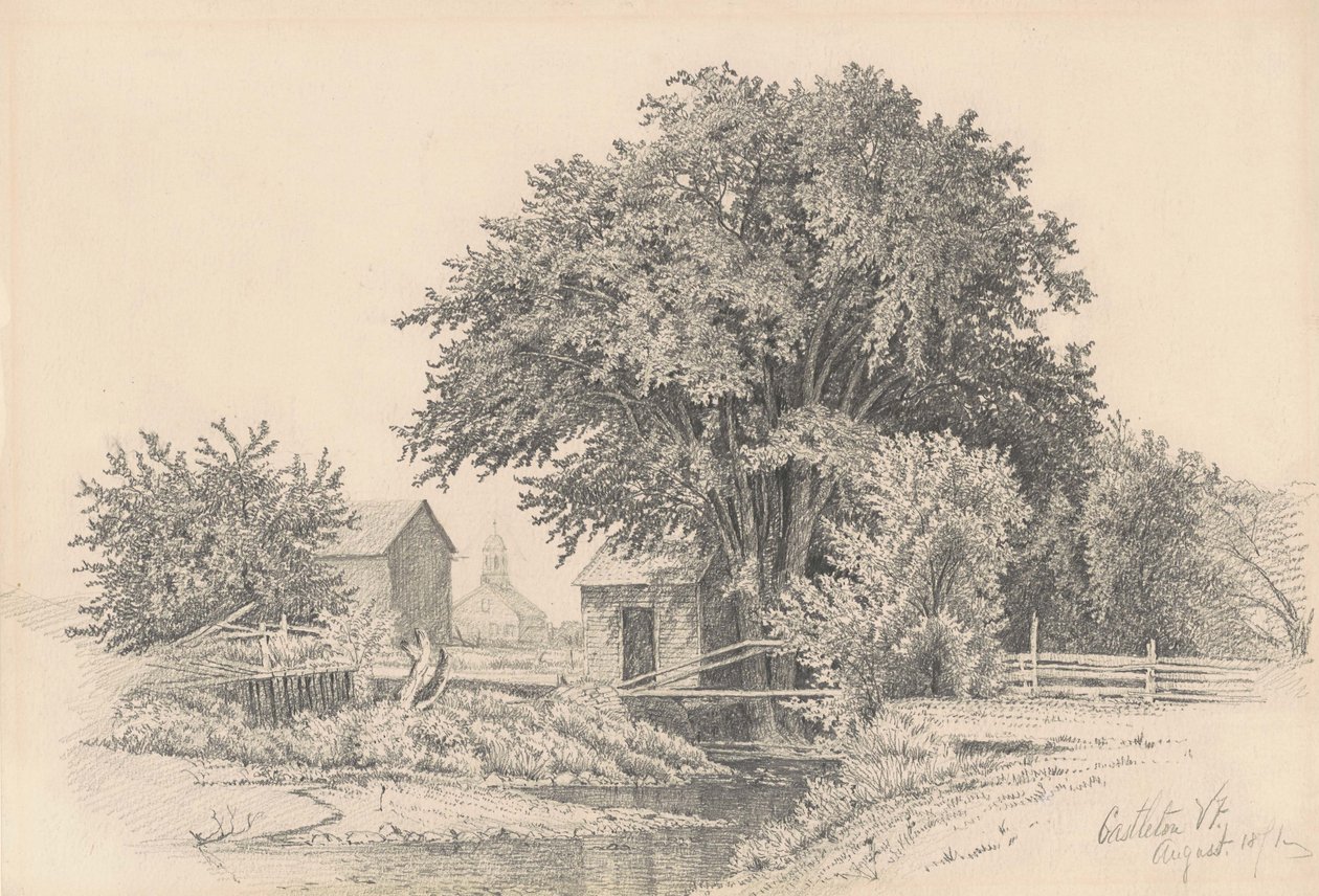 कैस्टलटन, वरमोंट, 1871 (ग्रेव पेपर पर ग्रेफाइट) द्वारा जेम्स रेनविक ब्रेवोर्ट