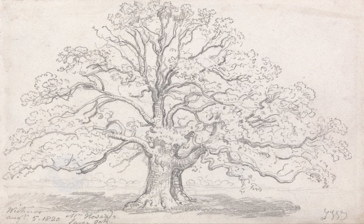 श्री हॉवर्ड लार्ज ओक, 5 अगस्त, 1820 द्वारा जेम्स वार्ड