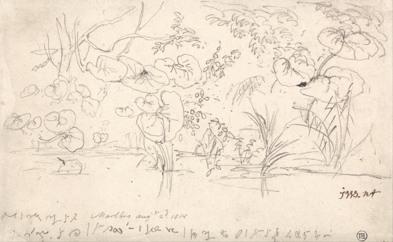 पौधों का अध्ययन, 2 अगस्त, 1815 द्वारा जेम्स वार्ड