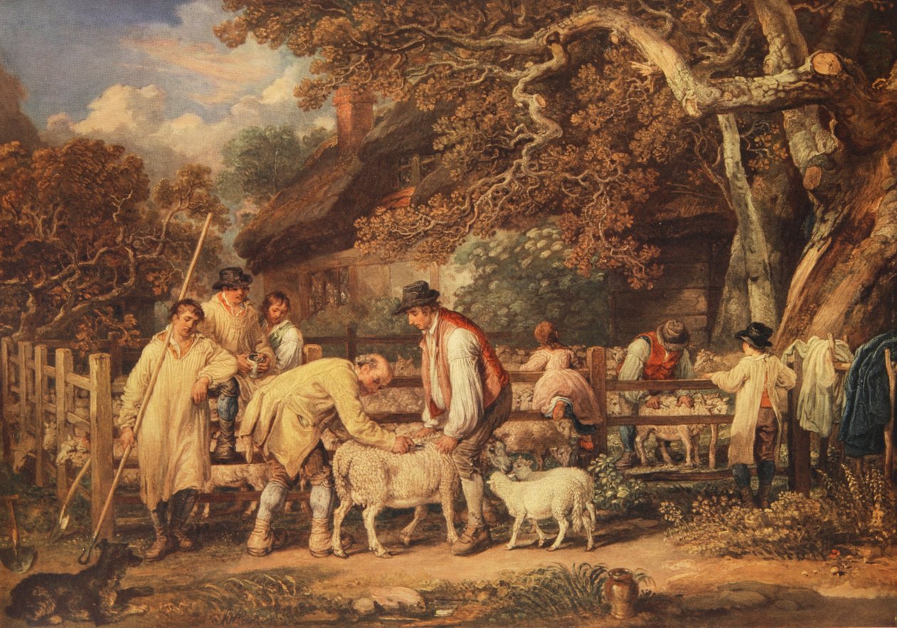 भेड़ कर्तन, c.1820 (कलर लिथो) द्वारा जेम्स (बाद) वार्ड