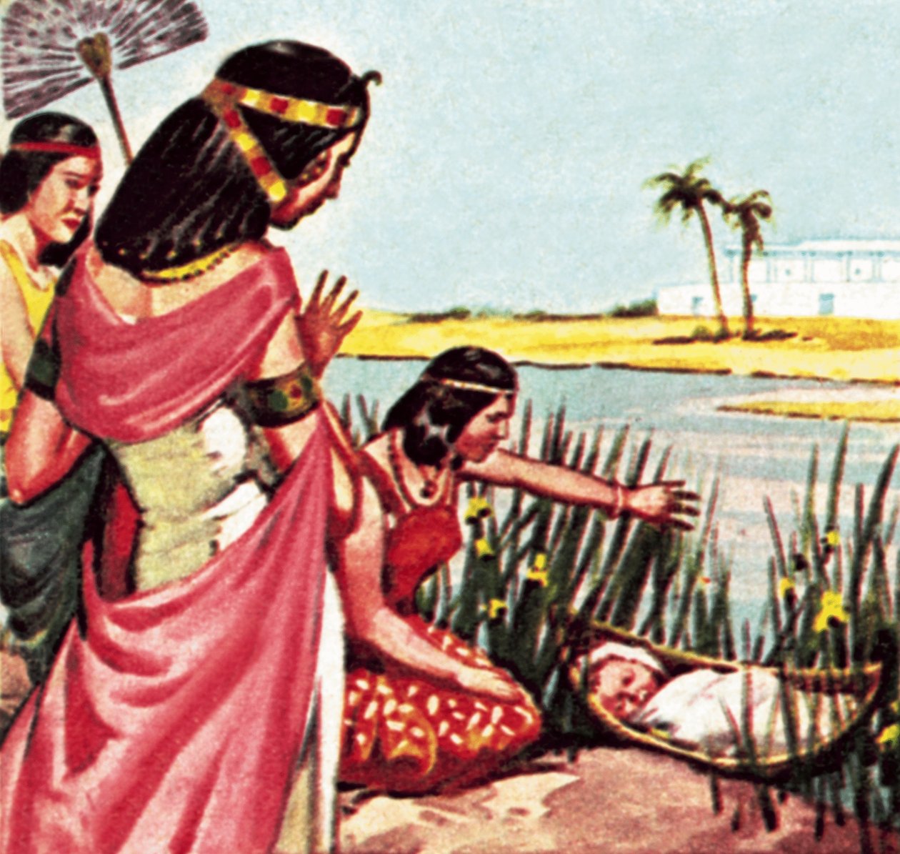  द्वारा जेम्स एडविन मैककोनेल