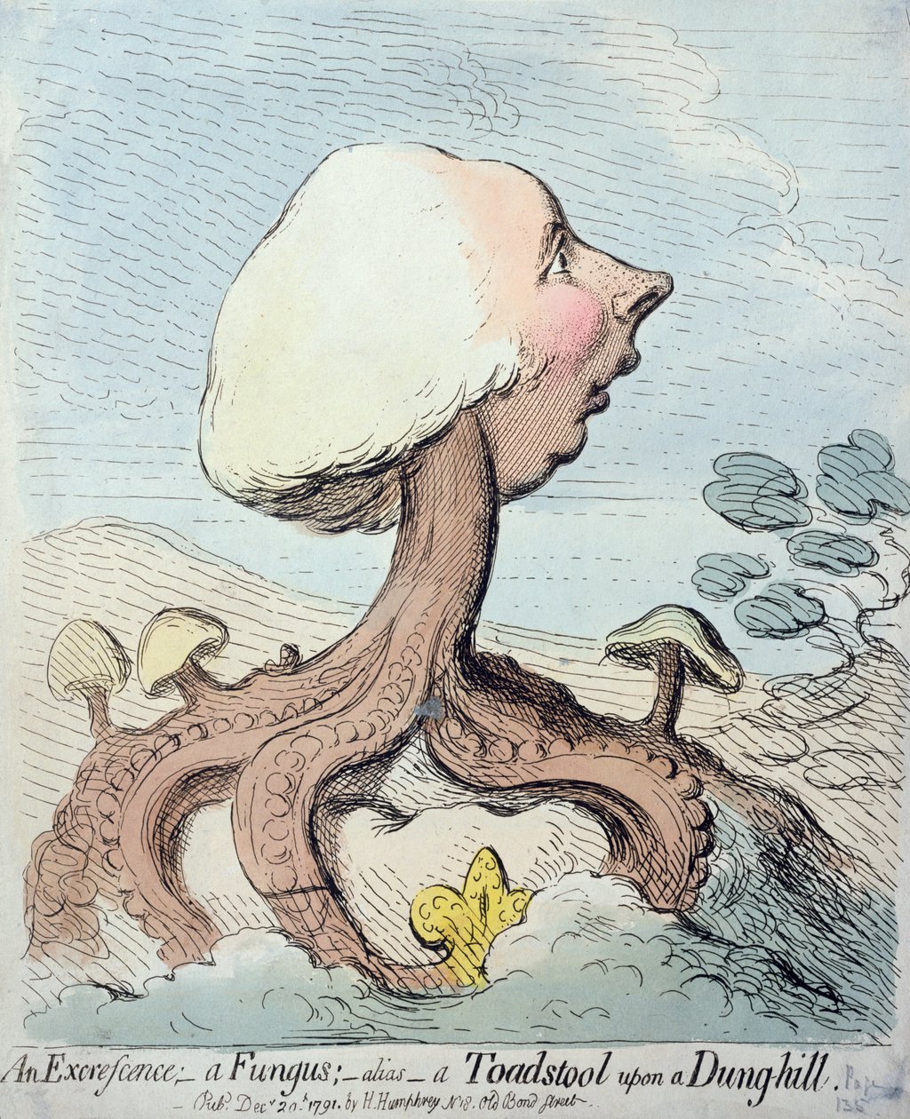 एक बहिष्करण; एक कवक; अलियास - एक टुंगस्टूल ऑन द डंग-हिल, 1791 में हन्ना हम्फ्री द्वारा प्रकाशित (wc के साथ नक़्क़ाशी) द्वारा जेम्स गिलियरे