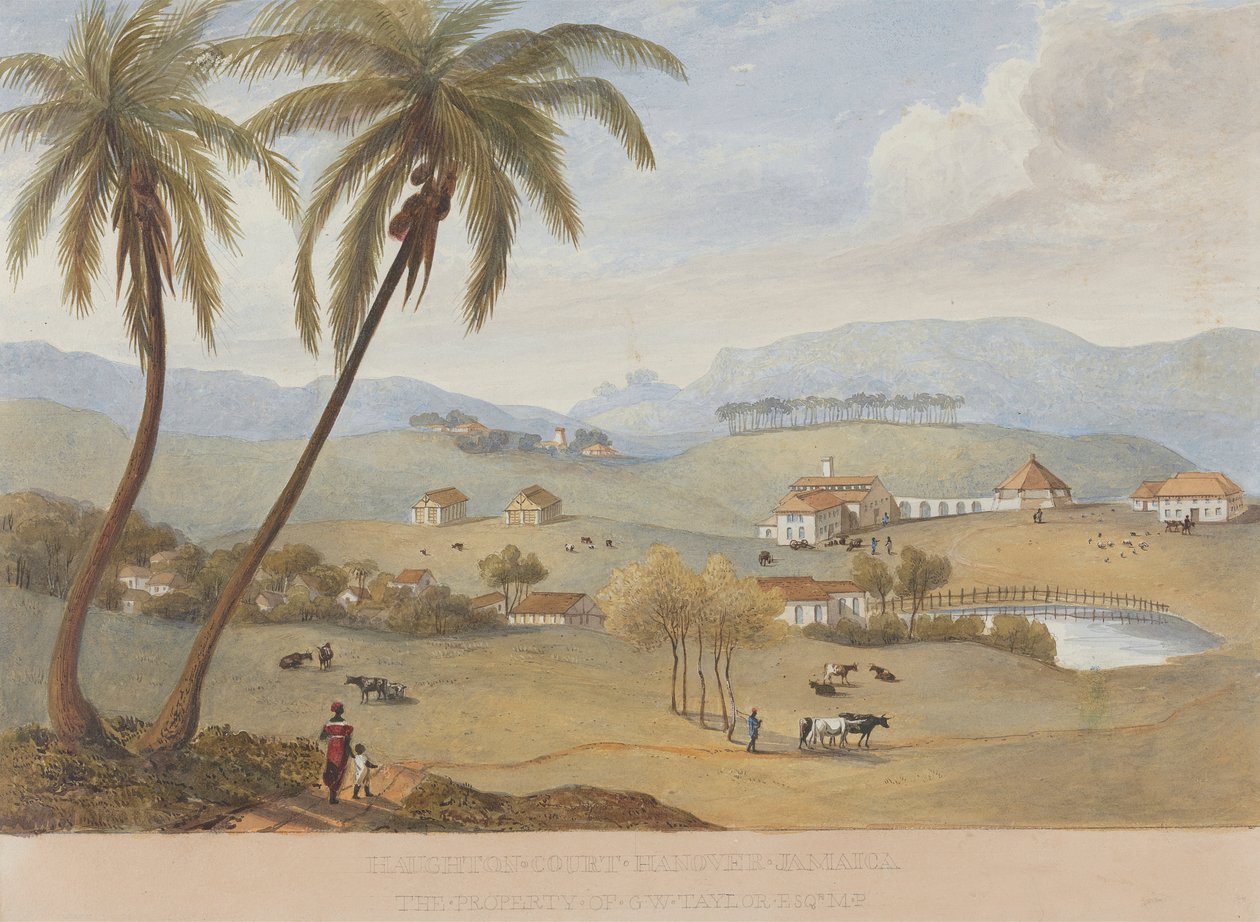  द्वारा जेम्स हकीविल