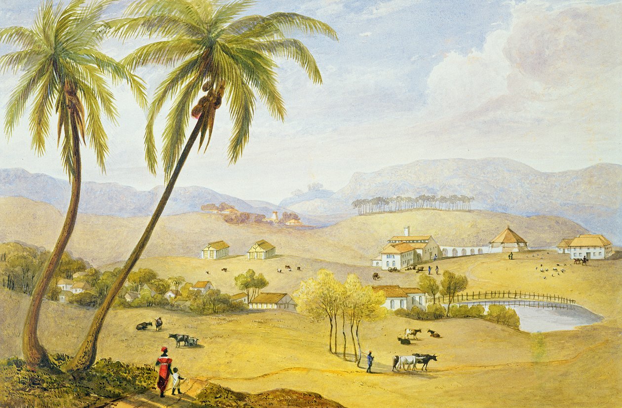 हैटन कोर्ट, हनोवर, जमैका, c.1820 द्वारा जेम्स हकीविल