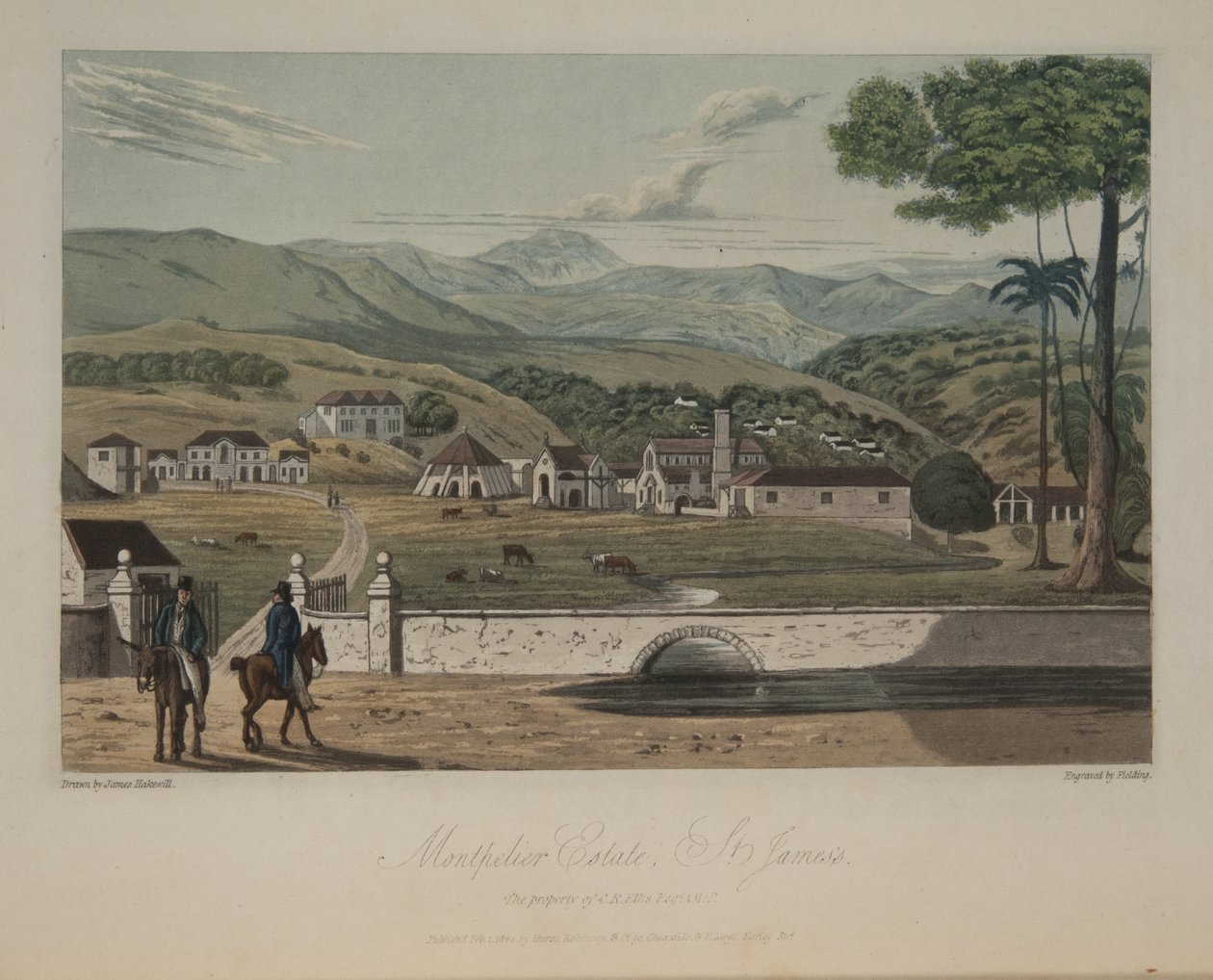  द्वारा जेम्स हकीविल