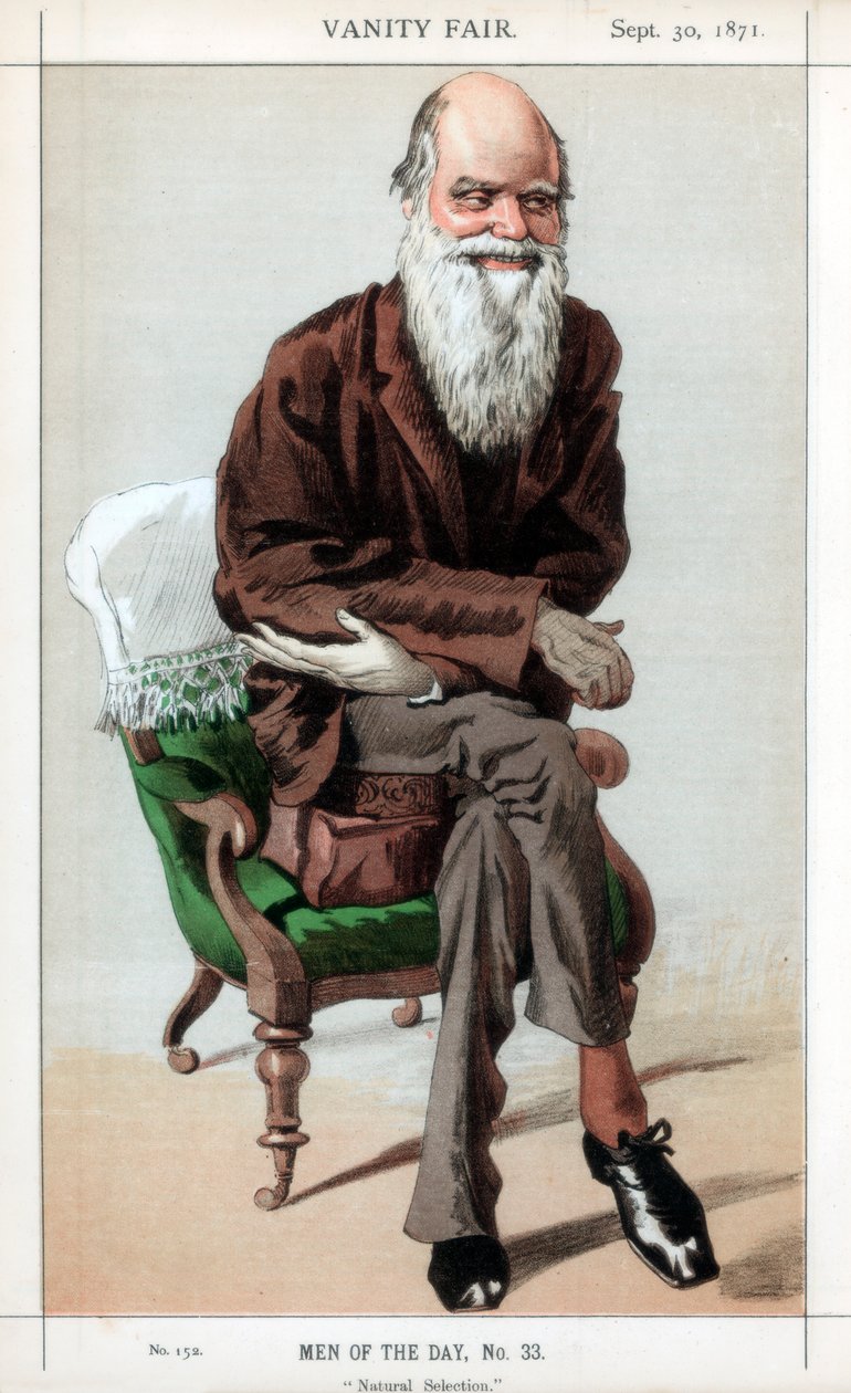 प्राकृतिक चयन, 1871। द्वारा जेम्स जैक्स जोसेफ टिसोट