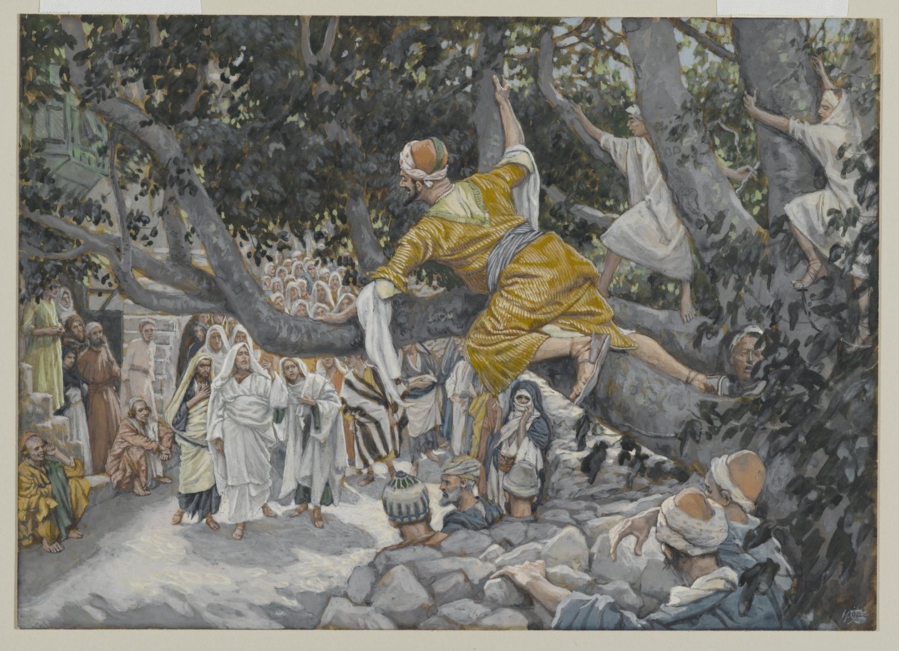 जीकासस इन द साइकमोर द एज़िटिंग ऑफ़ द जीसस, द लाइएशन ऑफ़ अवर लॉर्ड जीसस क्राइस्ट, 1886-96 (पेपर पर ग्रेफाइट से अधिक) द्वारा जेम्स जैक्स जोसेफ टिसोट