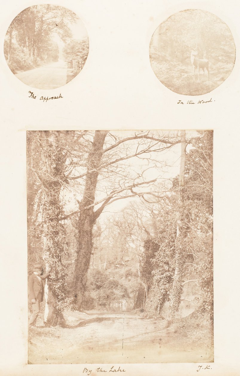 द एप्रोच, इन द वुड, बाय द लेक, 1853-56। द्वारा जेम्स नाइट