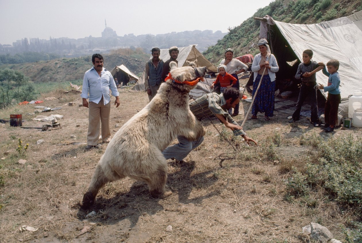  द्वारा जेम्स एल स्टैनफील्ड