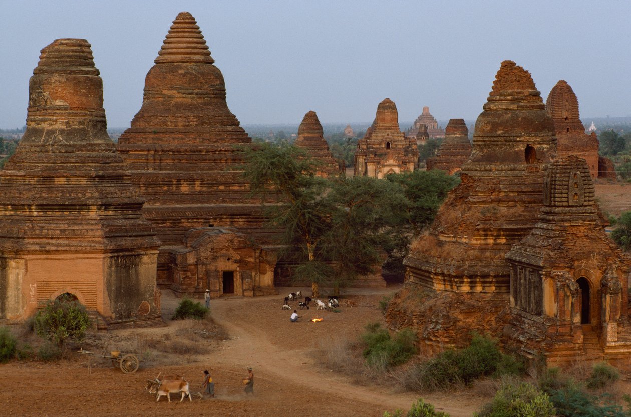  द्वारा जेम्स एल स्टैनफील्ड