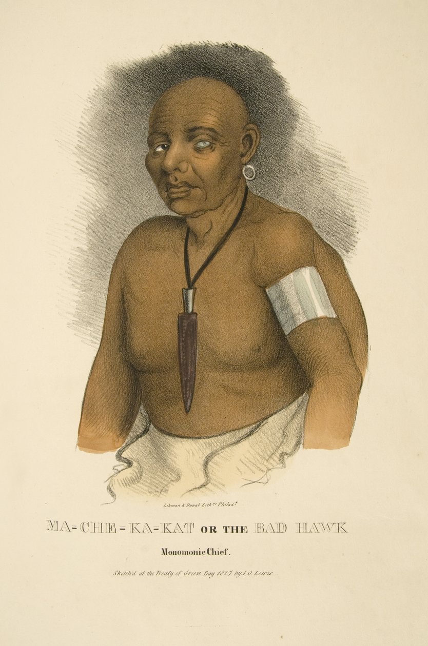 Ma-che-ka-kat or the Bad Hawk द्वारा जेम्स ओटो लुईस