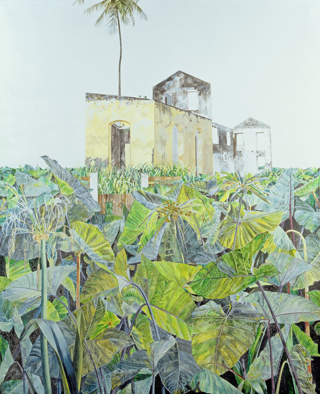 Ruin in a Swamp, हैती, 1971 द्वारा जेम्स रीव