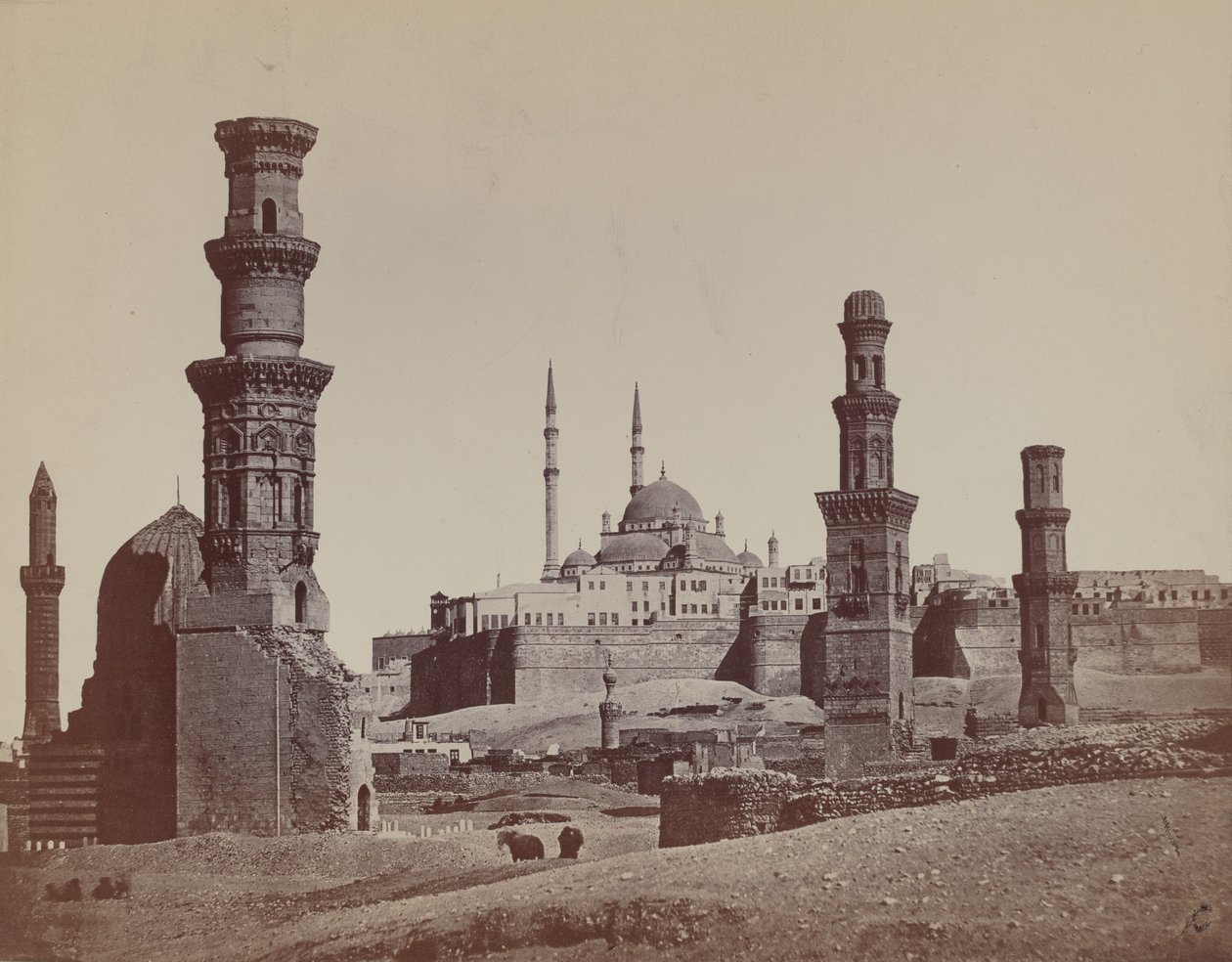  द्वारा जेम्स रॉबर्टसन