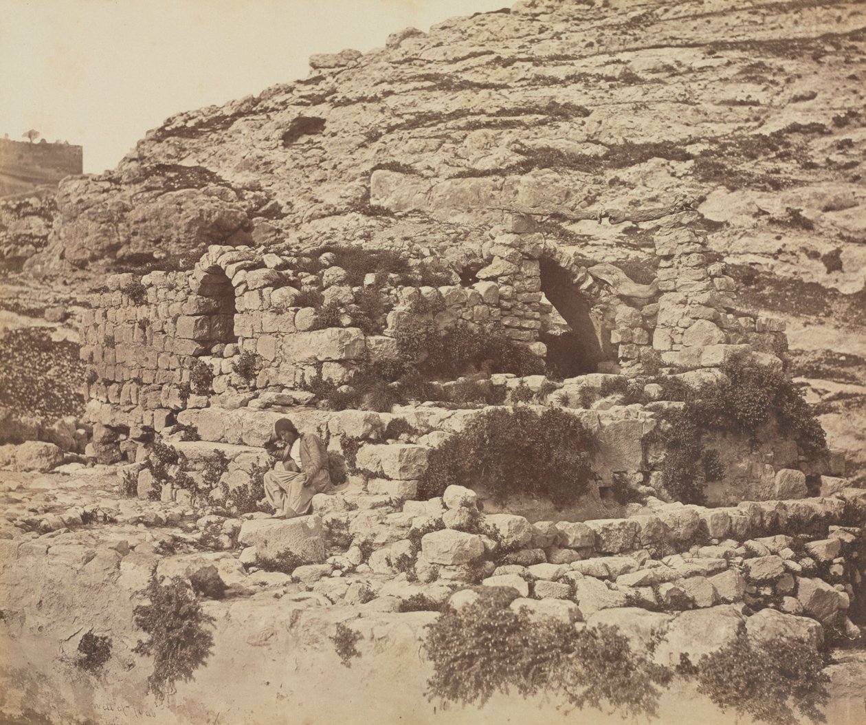  द्वारा जेम्स रॉबर्टसन