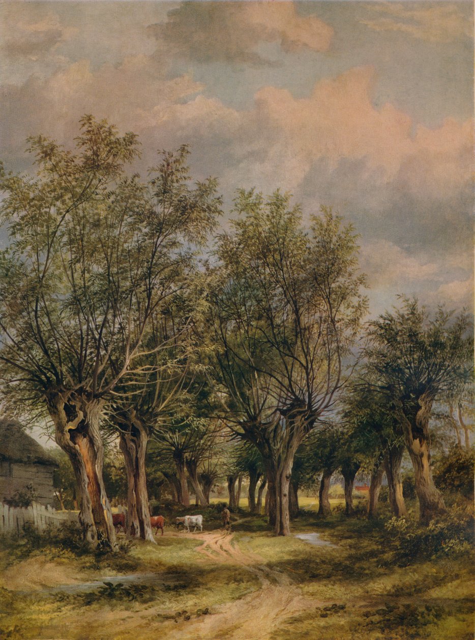 नॉरविच के पास एक लेन, c1837 द्वारा जेम्स स्टार्क