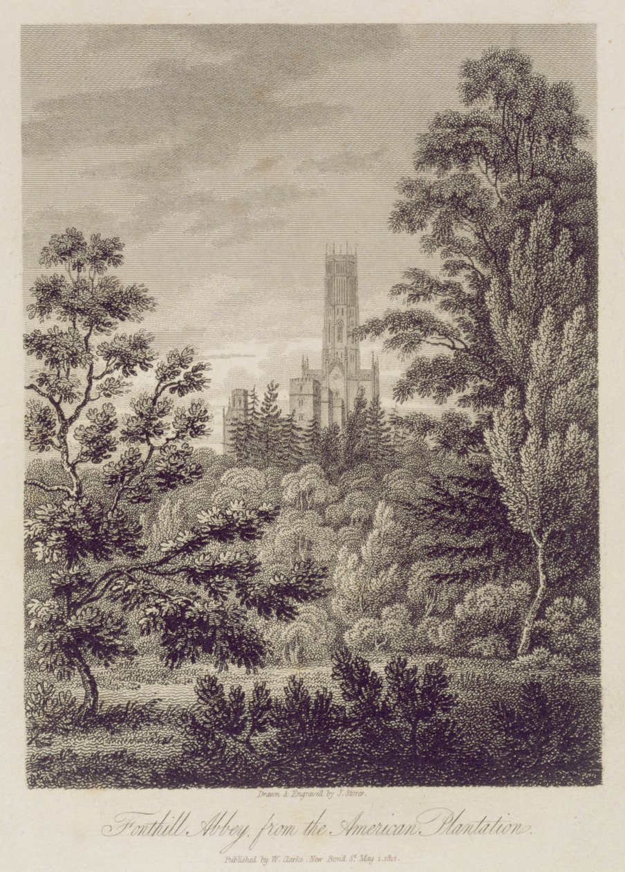 अमेरिकन प्लांटेशन से Fonthill Abbey, डब्ल्यू क्लार्क, न्यू बॉन्ड स्ट्रीट, 1812 द्वारा प्रकाशित द्वारा जेम्स स्टॉपर