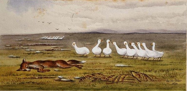 फॉक्स और गीज़ का एक खेल द्वारा जेम्स डब्ल्यू अशर