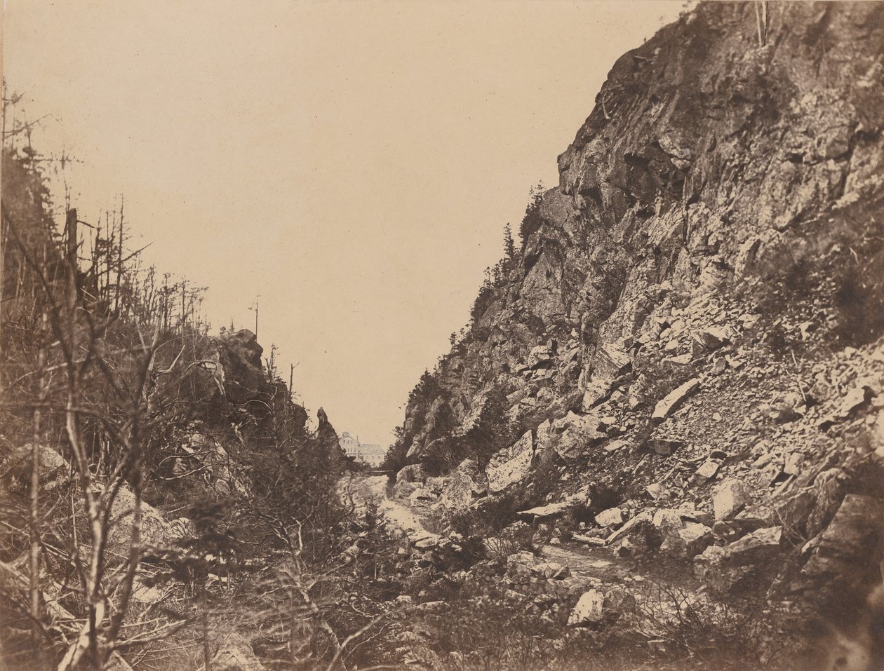 व्हाइट माउंटेन पायदान के प्रमुख, क्रॉफर्ड हाउस, 1854। द्वारा जेम्स वालेस ब्लैक