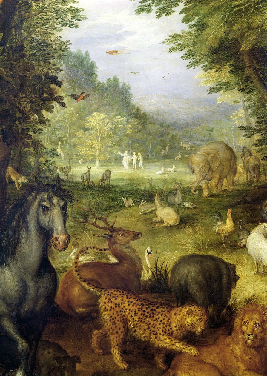 पृथ्वी, या सांसारिक स्वर्ग, जानवरों का विस्तार, 1607-08 (तांबे पर तेल) द्वारा जन एल्डर ब्रूघेल
