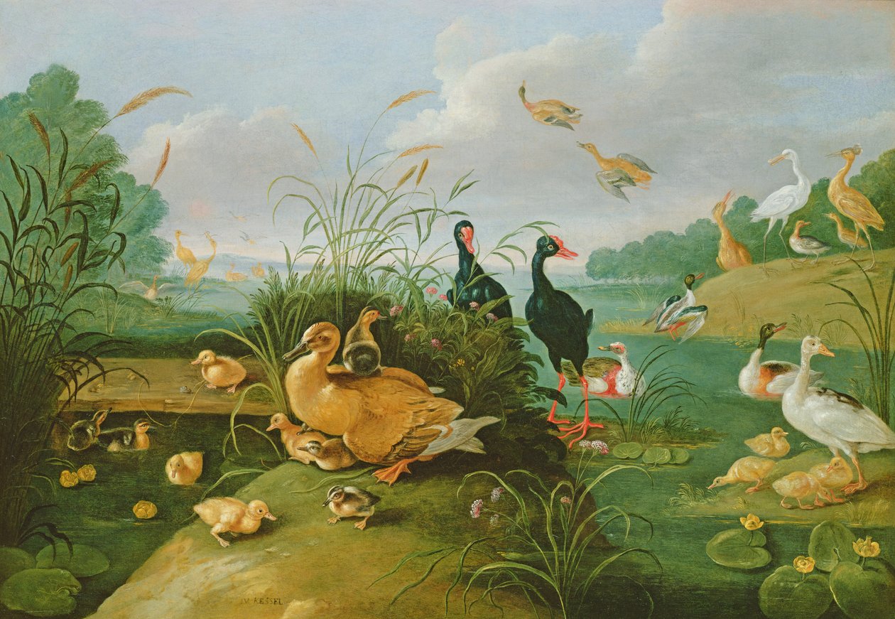 सजावटी fowl और ducklings द्वारा जन वैन केसेल द एल्डर