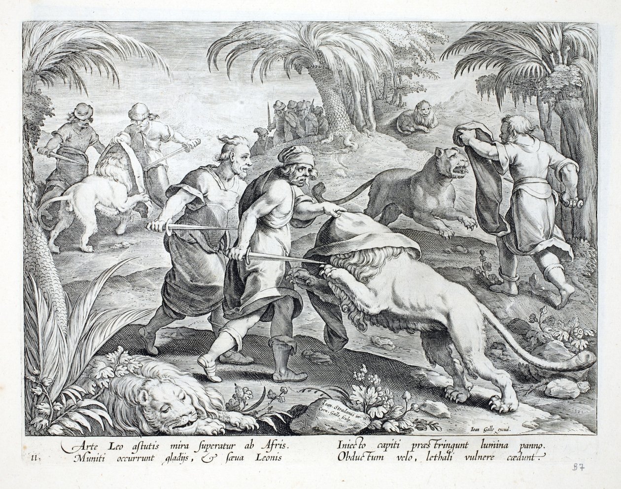 अफ्रीकी लोग अपने सिर को ढँककर शेरों का शिकार करते हैं, फिर उन्हें एक जानलेवा घाव, &39;वेनेशन, फेरम, एवियम, पिसियम&39; से चित्रण करते हैं (शिकार के: जंगली जानवर, पक्षी, मछली), जो कर्नल द्वारा उकेरा गया द्वारा जन वैन डर स्ट्रेट