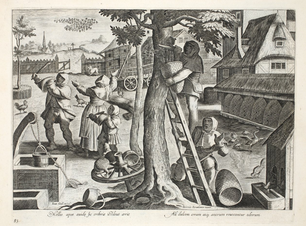 मधुमक्खी पालनकर्ता, प्लेट 83, &39;कोलालेशन, फेरम, एवियम, पिस कैल्शियम&39; (हंटिंग: वाइल्ड बीस्ट्स, बर्ड्स, फिश) का चित्रण, जन कोलार्ट (1566-1628), पब द्वारा उत्कीर्ण। फिलिप गैलस, एम्स्टर्डम (उत्कीर्णन) द्वारा द्वारा जन वैन डर स्ट्रेट