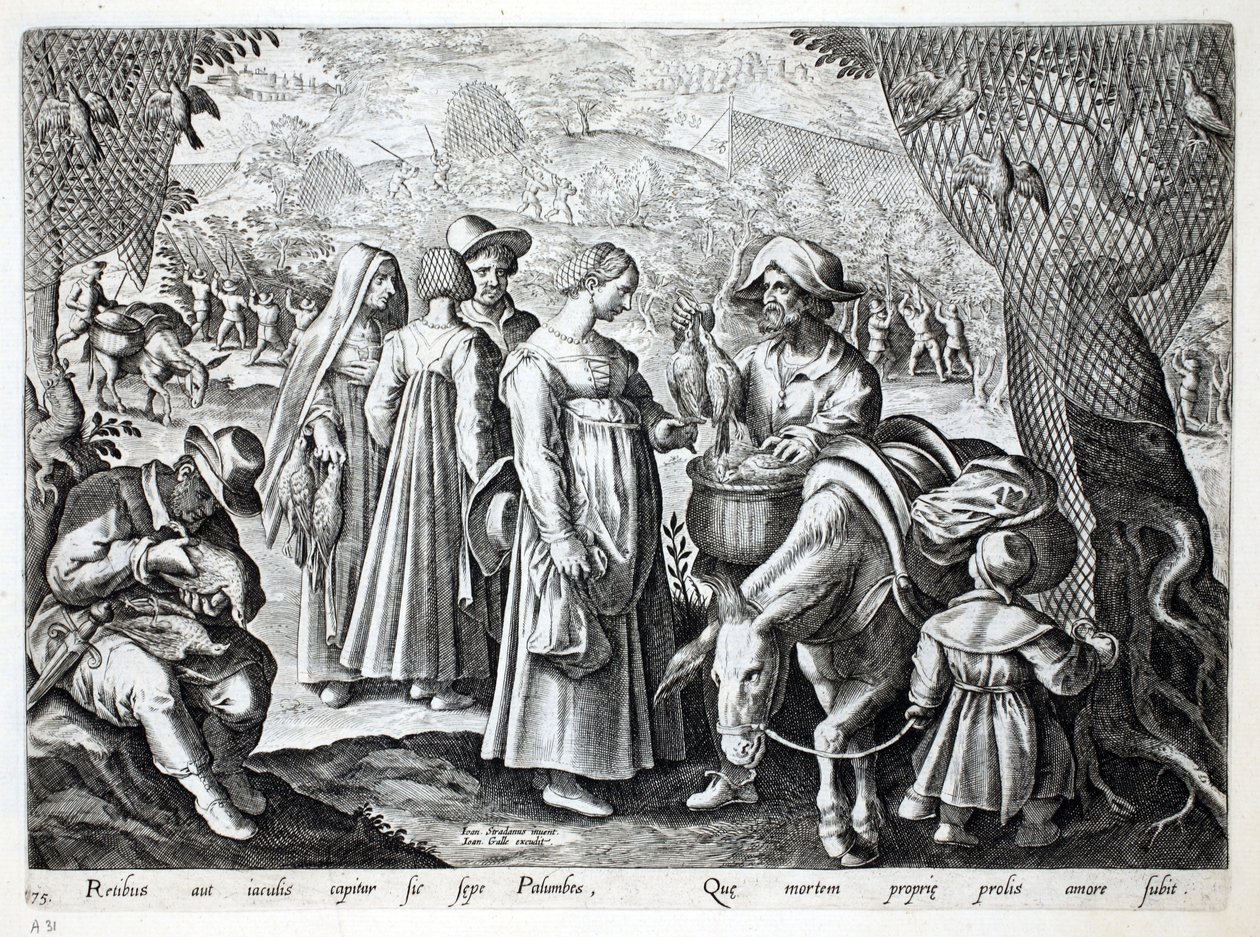 वुड कबूतर बेचने वाले बर्डकैचर्स, जन कोलार्ट (1566-1628) द्वारा उत्कीर्ण, &39;वेनेशन, फेरारम, एवियम, पिसियम&39; (शिकार का: जंगली जानवर, पक्षी, मछली) से चित्रण फिलिप गैलस, अम्स्ट द्वारा द्वारा जन वैन डर स्ट्रेट