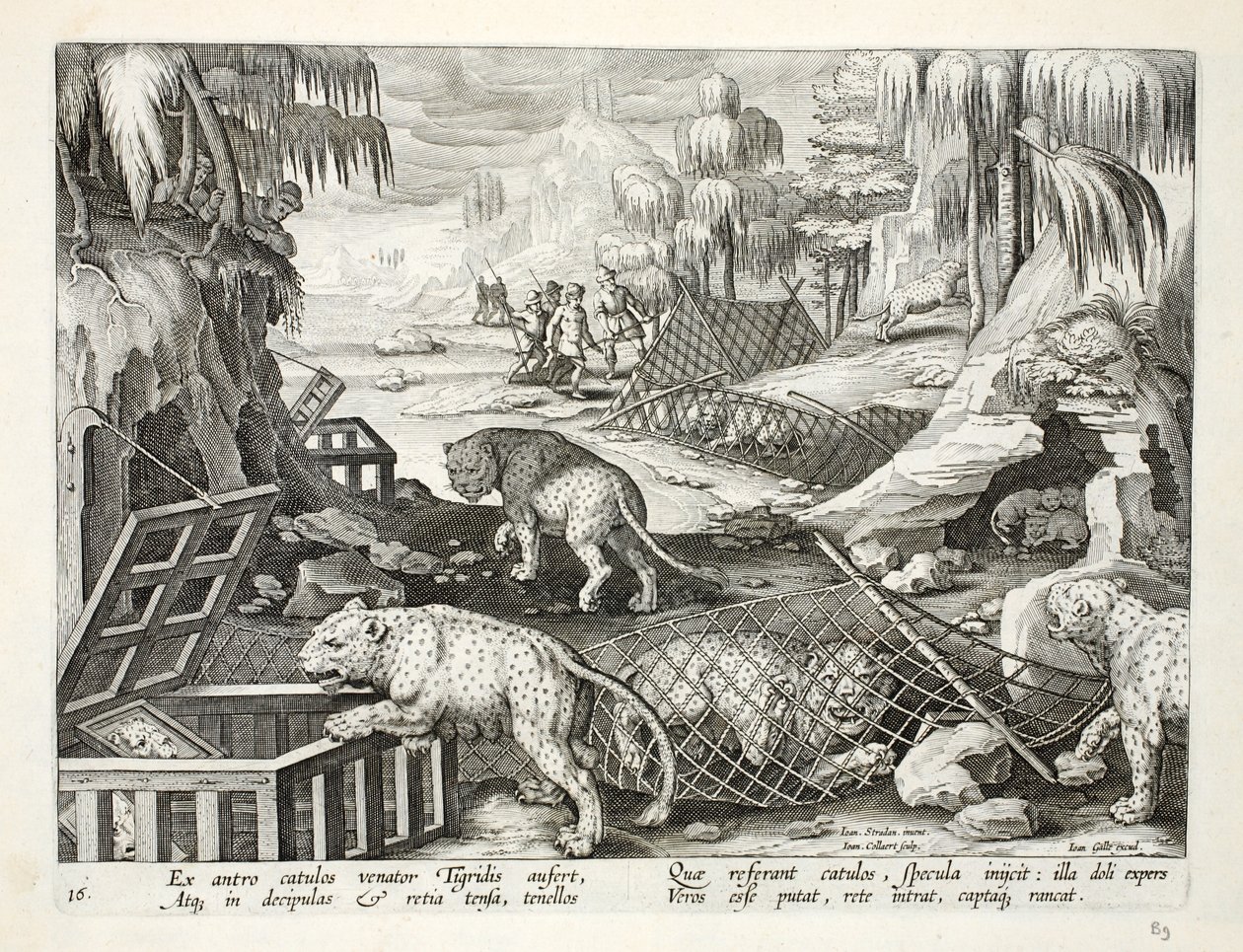 दर्पणों से सजे जाल और पिंजरों की मदद से तेंदुए को पकड़ना, &39;वेनेशन, फेरम, एवियम, पिस कैल्शियम&39; का चित्रण (शिकार का: जंगली जानवर, पक्षी, मछली), जो कोला कोला द्वारा उकेरा गया (1566-1) द्वारा जन वैन डर स्ट्रेट