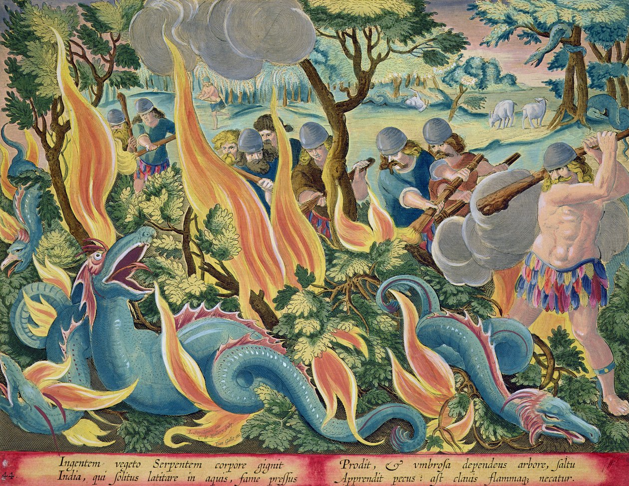 भारत में सर्पों को पकड़ना और क्लबों और टार्च का उपयोग करके प्रकाश को बढ़ाना, प्लेट 44 &39;वेनेरेस फेरुम, एवियम, पिस कैल्शियम&39; (शिकार का: जंगली जानवरों, पक्षियों, मछलियों) को कोला कोला द्वारा उत्कीर्ण द्वारा जन वैन डर स्ट्रेट