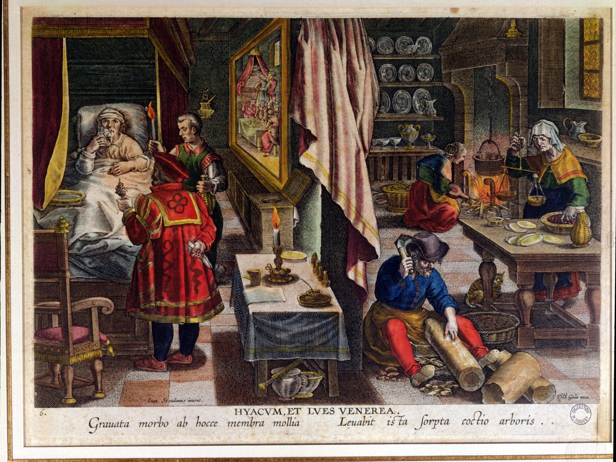 फिलिप गैल (1537-1612) c.1570 द्वारा उत्कीर्ण सिफलिस के उपचार के लिए गुआयाको की तैयारी और उपयोग (91596 भी देखें) द्वारा जन वैन डर स्ट्रेट