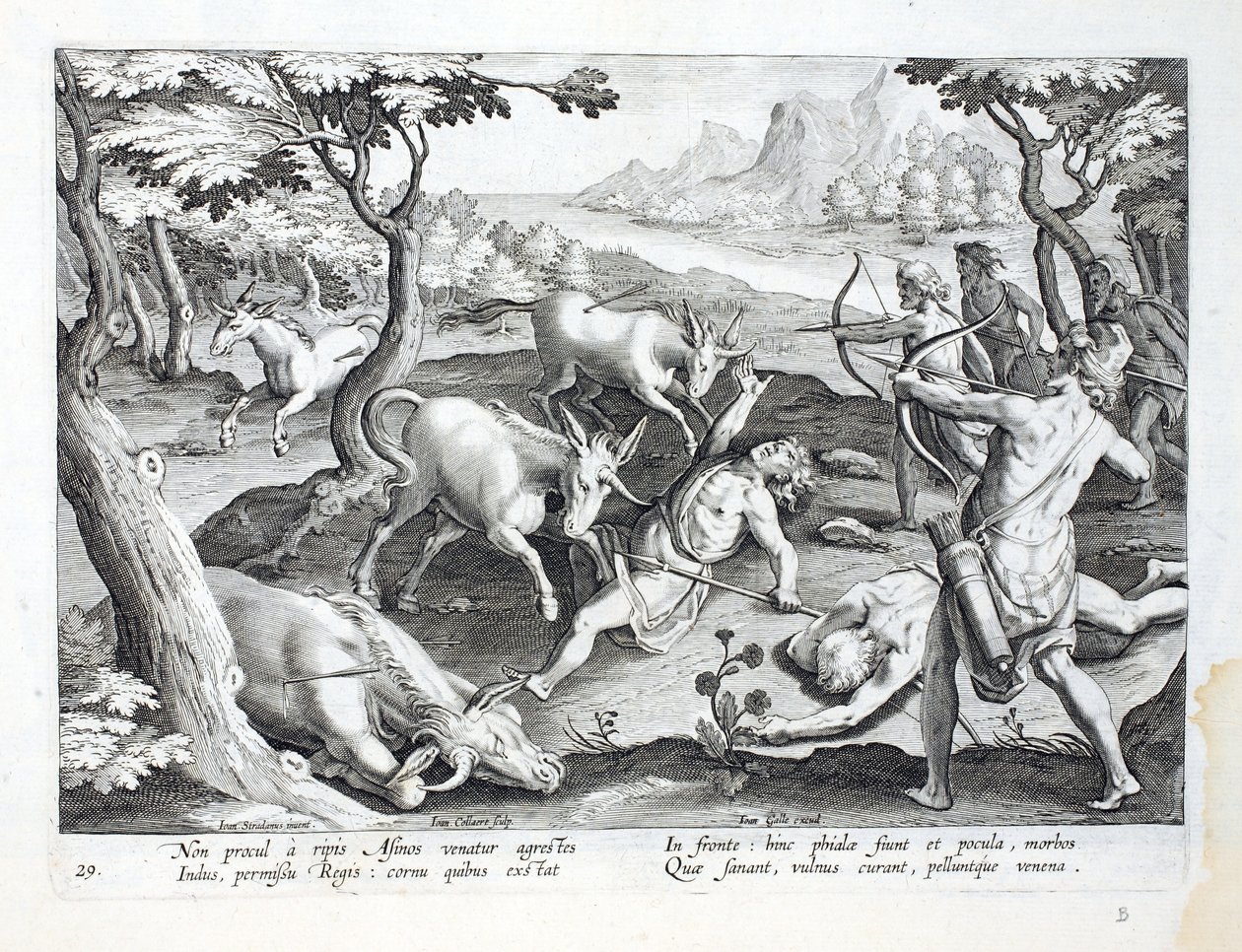 राजा की अनुमति के द्वारा सिंधु के तट पर इकसिंगों का शिकार, &39;वेनेशन, फेरारम, एवियम, पिस कैल्शियम&39; से चित्रण (शिकार के: जंगली जानवर, पक्षी, मछली), जन कोलार्ट (1566-162) में उकेरा गया द्वारा जन वैन डर स्ट्रेट