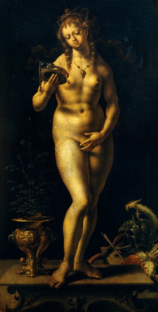 शुक्र (पैनल पर तेल) द्वारा Jan (c.1472-c.1533) Gossaert