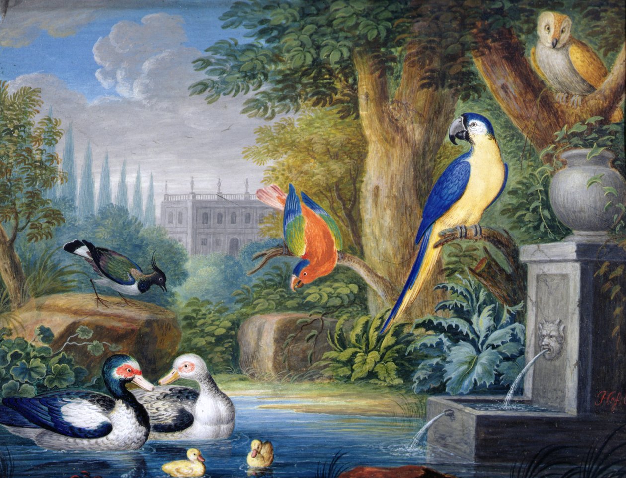 एक सजावटी बगीचे में विदेशी पक्षी, c.1650 (कागज पर गौचे) द्वारा जान गेरिट्ज़। वैन ब्रोंकोहर्स्ट