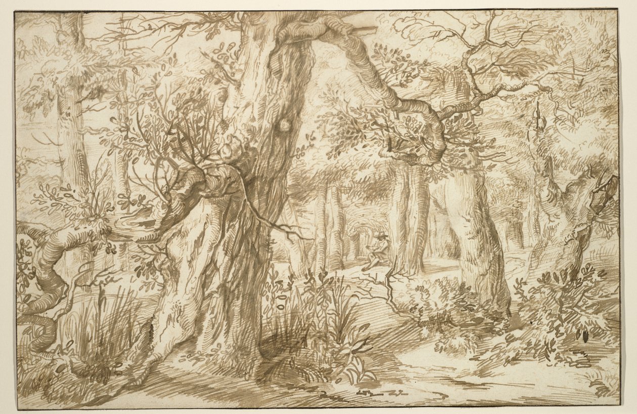 ड्राफ्ट्समैन के साथ फ़ॉरेस्ट इंटीरियर, c.1664 (प्राचीन रखी कागज पर भूरी स्याही) द्वारा जन एल्डर लिवेन्स